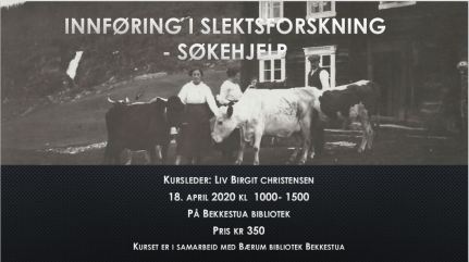 Bilde Innforing plakat